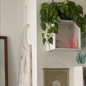 Meet your Posher, Lela